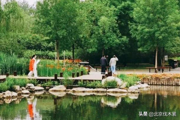 芒种旅游景点推荐,芒种至仲夏节气