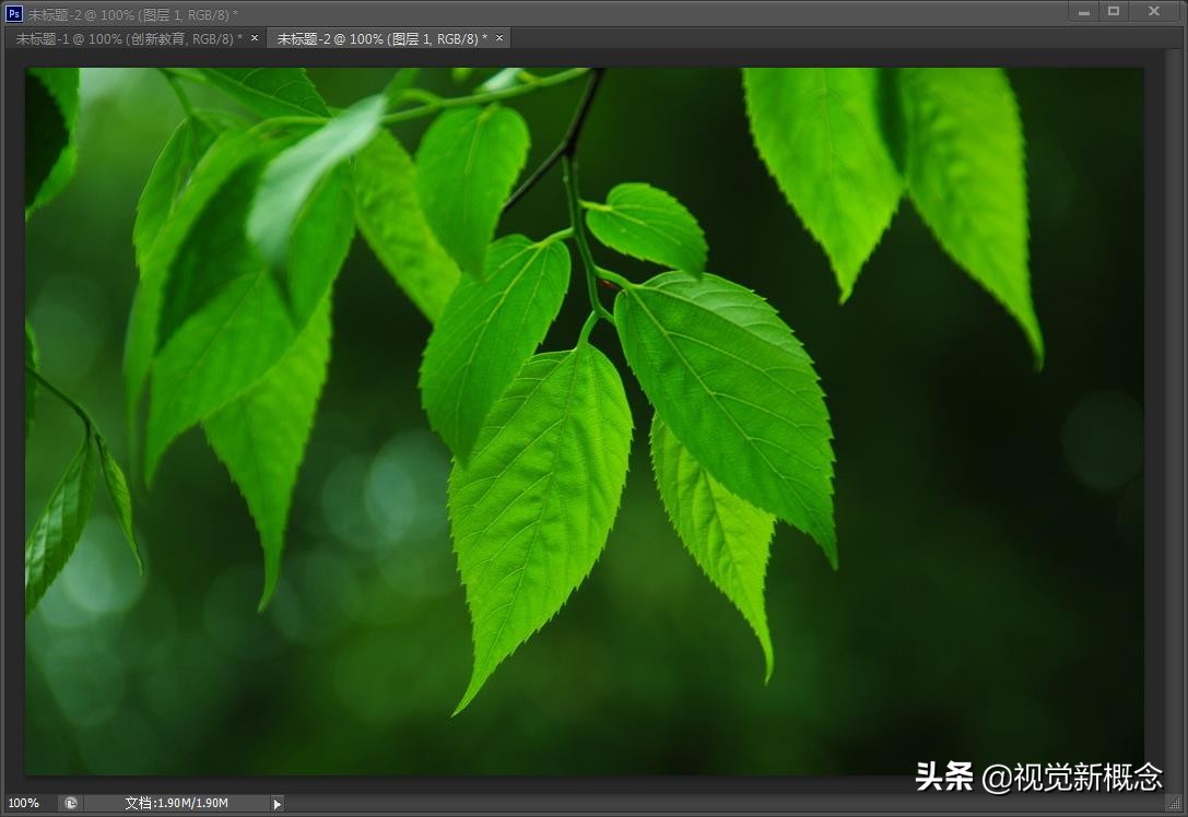 ps气泡效果字体,ps如何插入文本气泡