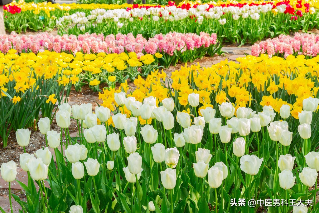 肾虚最严重的后果会导致什么,肾虚4大危害你了解吗