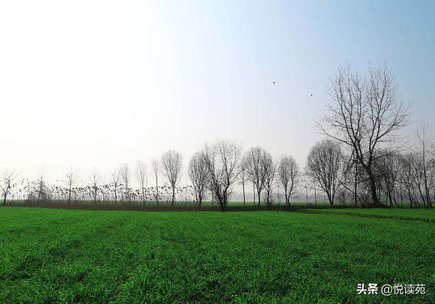 范墩子精彩视频,范墩子