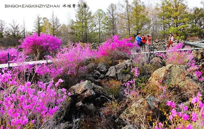 黑河挨着哪里,黑河远方文学