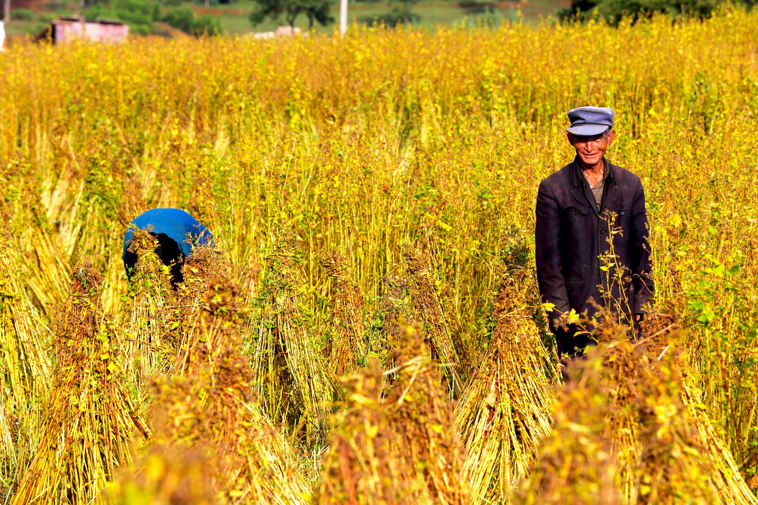 丰收快乐节,农民丰收节唱出丰收喜悦