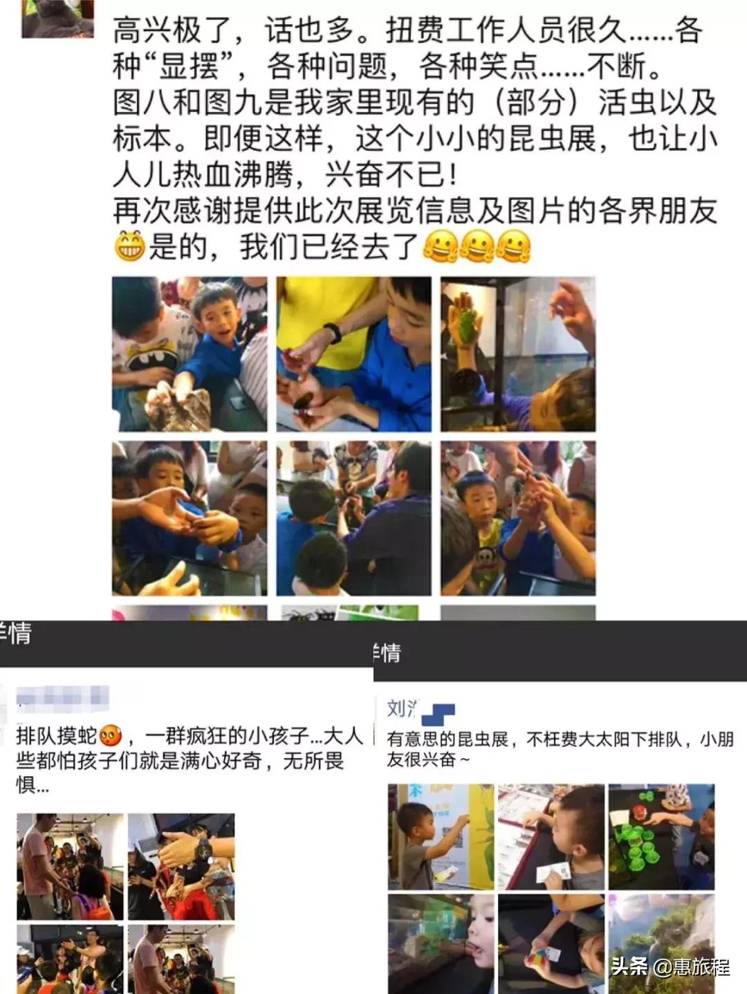 只要19.9元！3000+昆虫萌宠来袭！首届昆虫萌宠主题沉浸展空降武汉