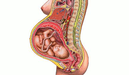 很关注卫生了，为什么还是总得妇科病？