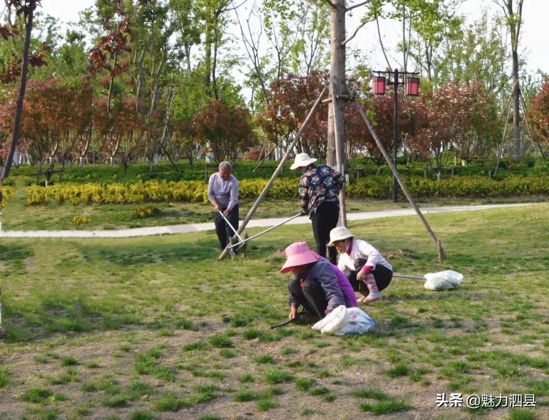 全国文明县城泗县,2024年泗县评上文明城市了吗