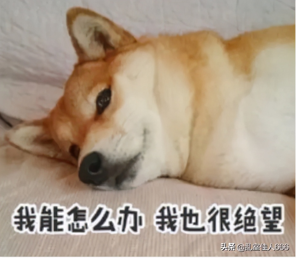 遇到喜欢占小便宜的人怎么办,遇到喜欢占小便宜的人