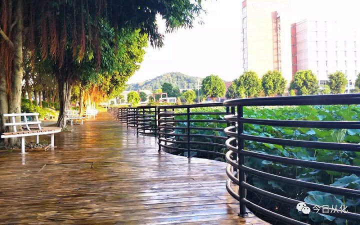 广东大学参观指南大全,广东大学参观预约