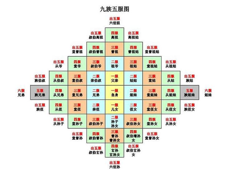 六谷六畜七情五色五味,五行五常图表