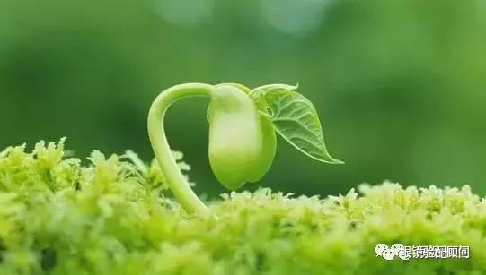 不玩手机孩子远视储备也会不够吗,孩子远视储备没有了还会恢复吗