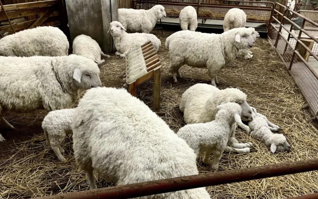 酷夏来袭，这8个帝都宝藏商场才是遛娃界yyds