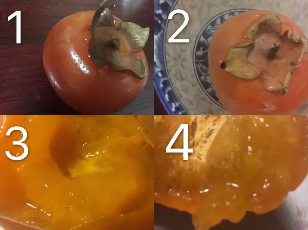 给东北人一个澡堂，他们能泡了整个世界