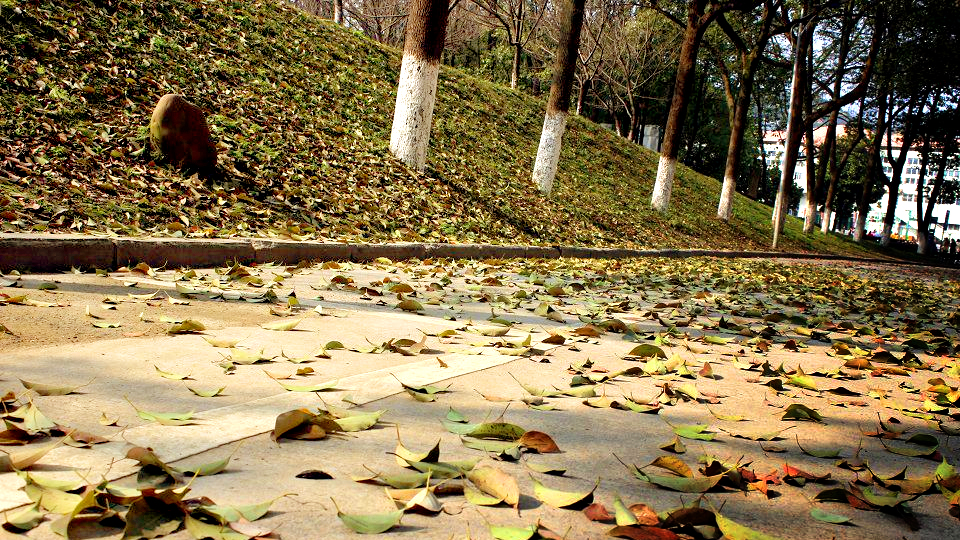 吉首最好的地标,吉首特色地标