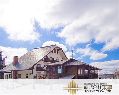 日本东京地铁攻略,日本东京旅游攻略景点大全