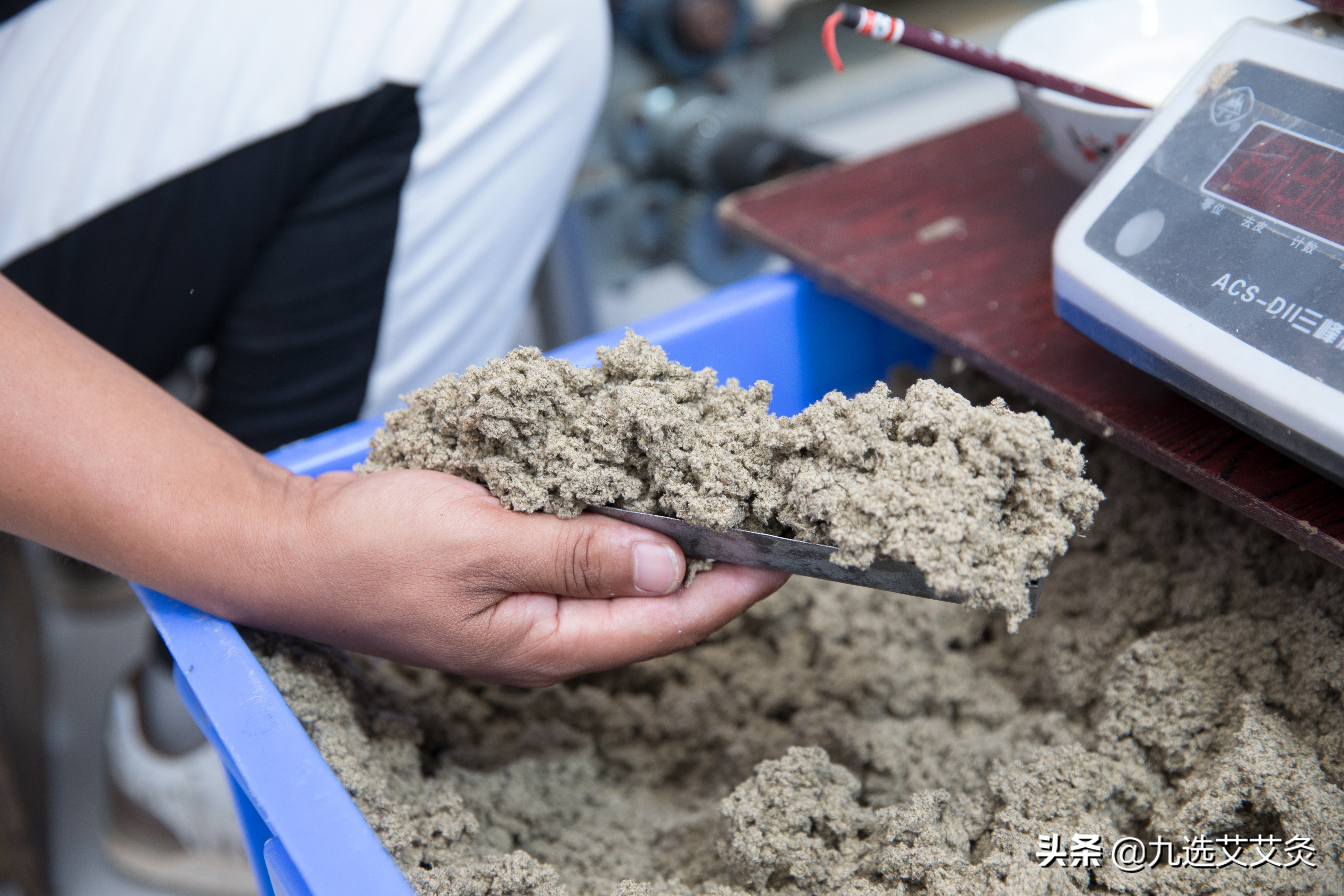 艾条的总结,艾条年份