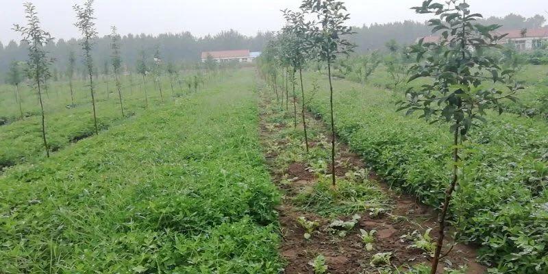 辽宁阜新退役士兵安置岗位,辽宁阜新退役士兵安置岗位有哪些