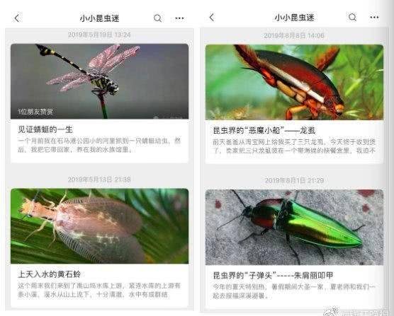 深夜，妈妈被窝惊现“千足虫”，原来竟是6岁儿子有这嗜好