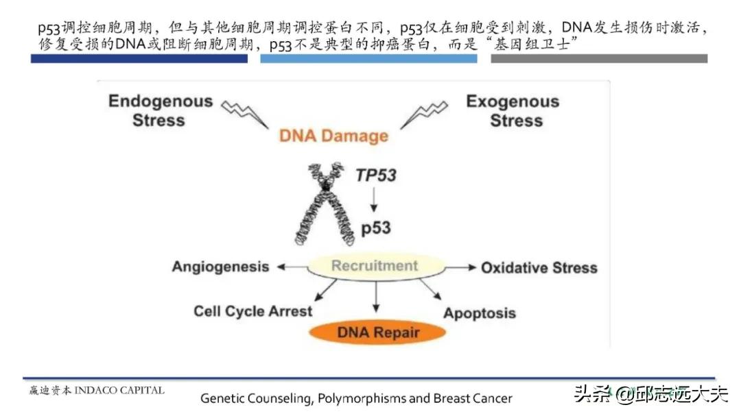 抗癌之路4处求医,抗癌三年之路