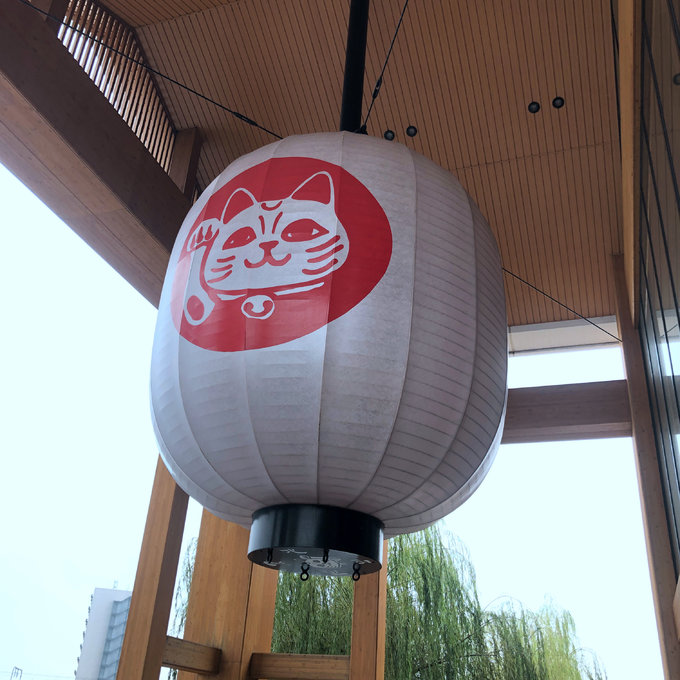 名古屋东京6日游攻略,6天去日本