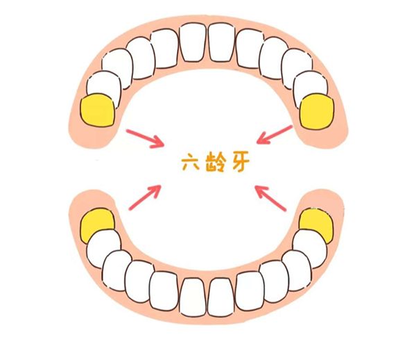 乳牙龋坏影响恒牙发育吗,乳牙蛀牙不疼会不会影响到牙神经