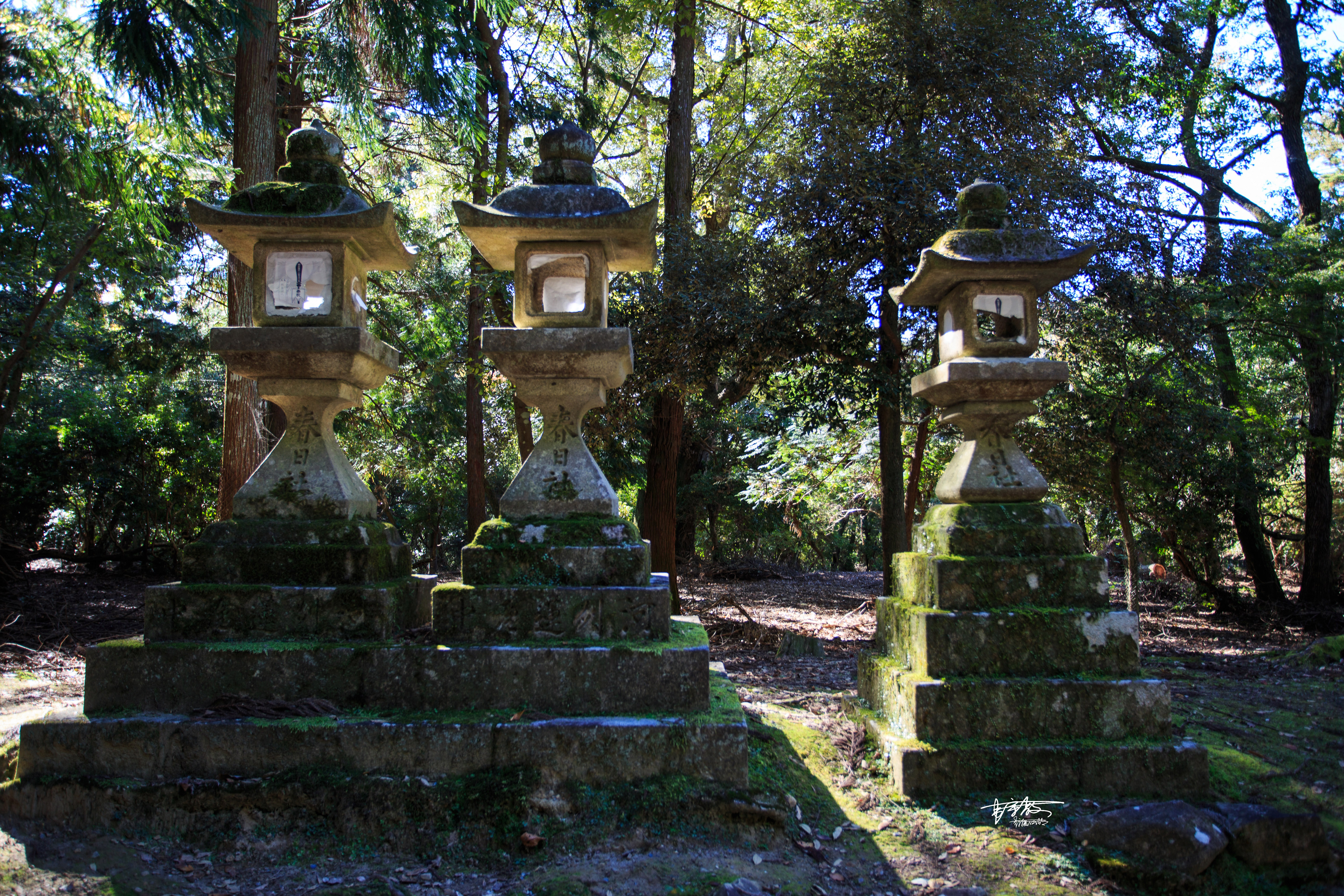 网红打卡景点奈良,日本奈良10大网红打卡景点