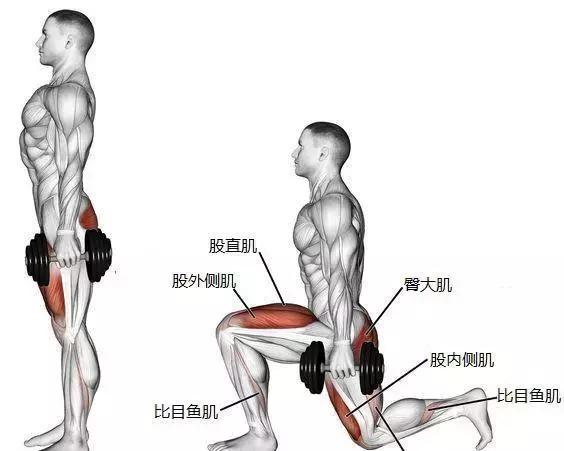 健身房怎么提臀让臀变翘,怎么提臀让臀变翘