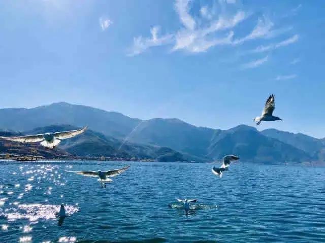 你的失败只有一个原因,感觉自己没有学会人际交往的精髓