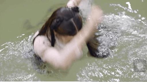 又甜又虐,枕上书虐到心片段