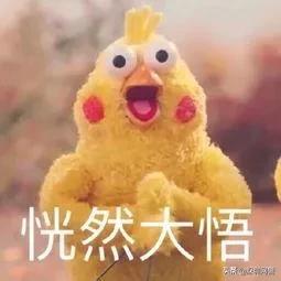 下血本！为拉“好兄弟”刷单，他竟把亲妹妹介绍给了对方...