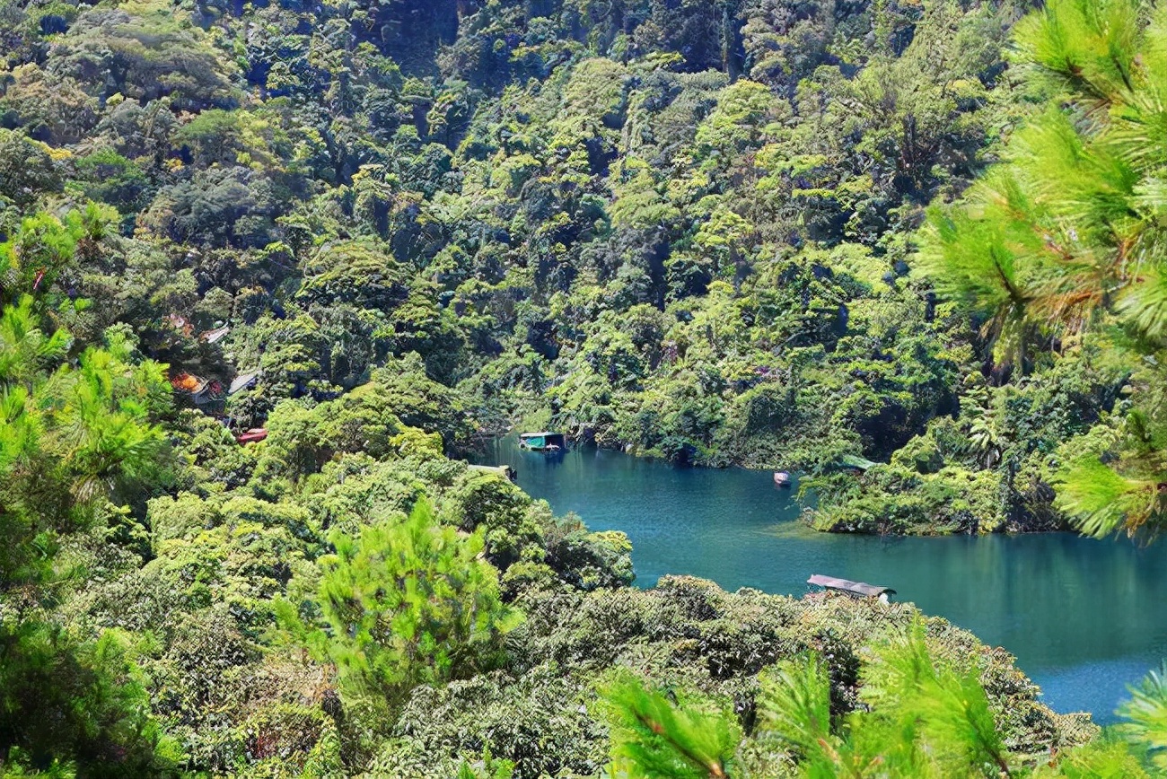 可怕40斤巨蟒藏天花板,吓人巨蟒