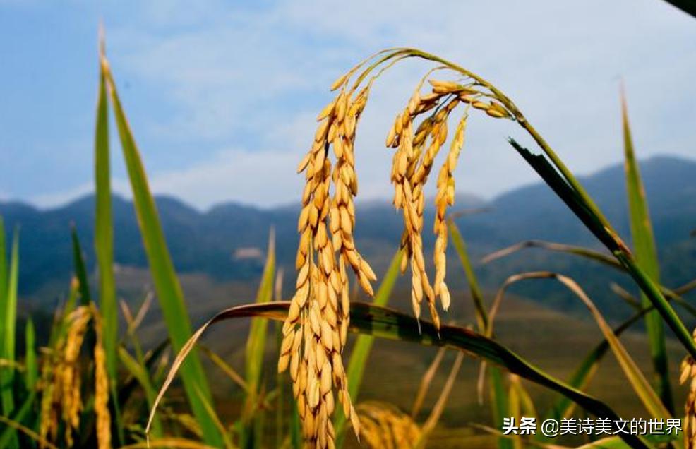 上联坐北朝南吃西瓜,坐南朝北吃西瓜上联下联
