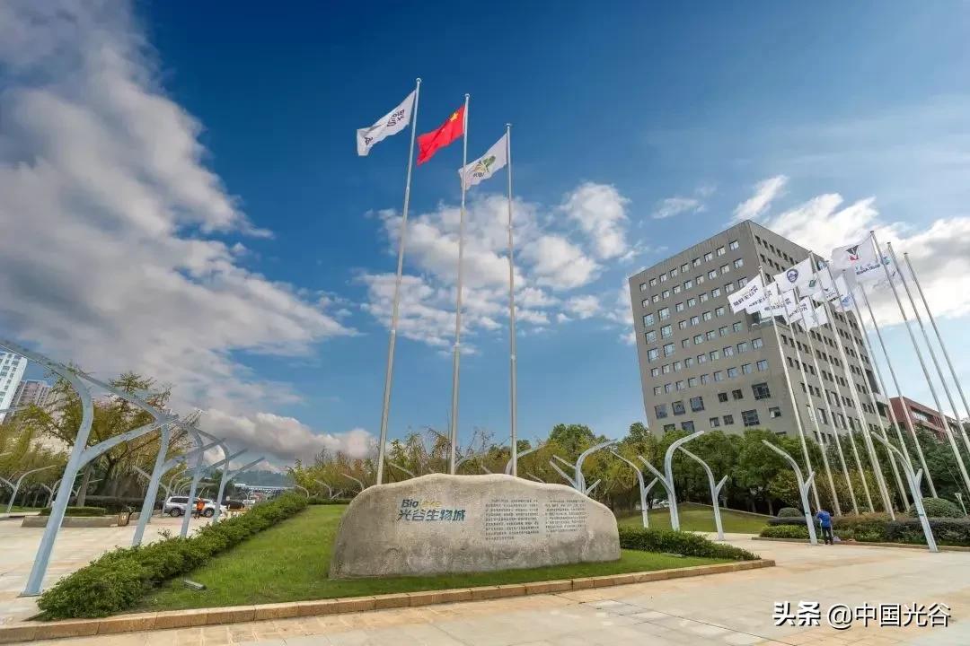 光谷帕金森新药临床效果,光谷新药