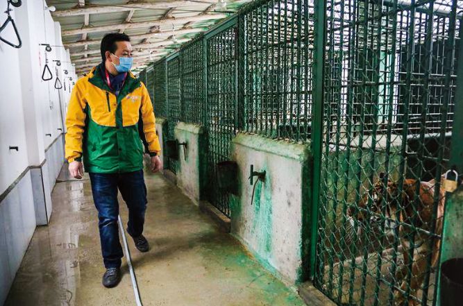 疫情后乐和乐都,疫情后的乐和乐都2020