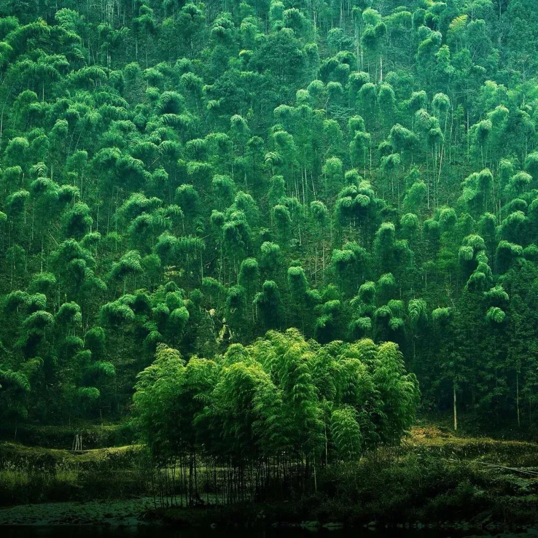 一去梵净，便懂了最美中国风