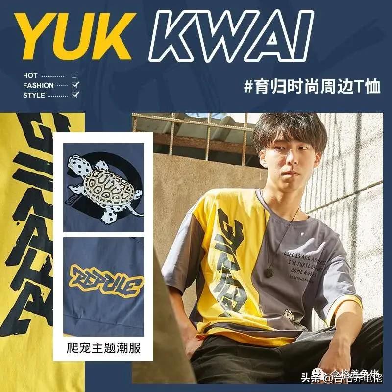 关于养龟少有人知道的8件事？