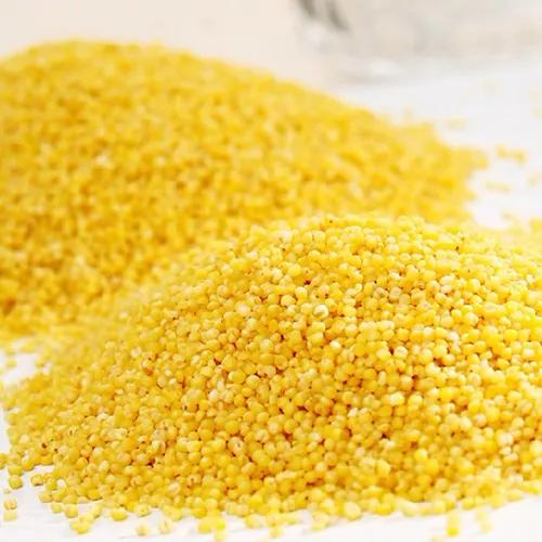 面对糟蹋粮食该怎么办,面对不劳而获的人我们应该怎么办