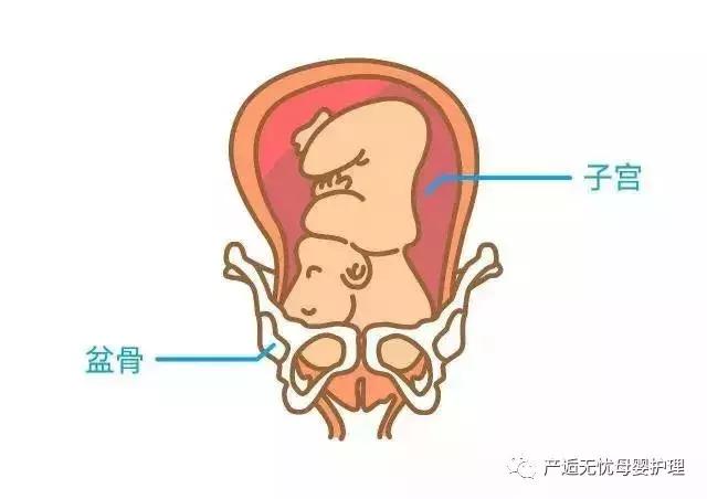做盆骨的关注事项,怎么知道盆骨有没有达到要求