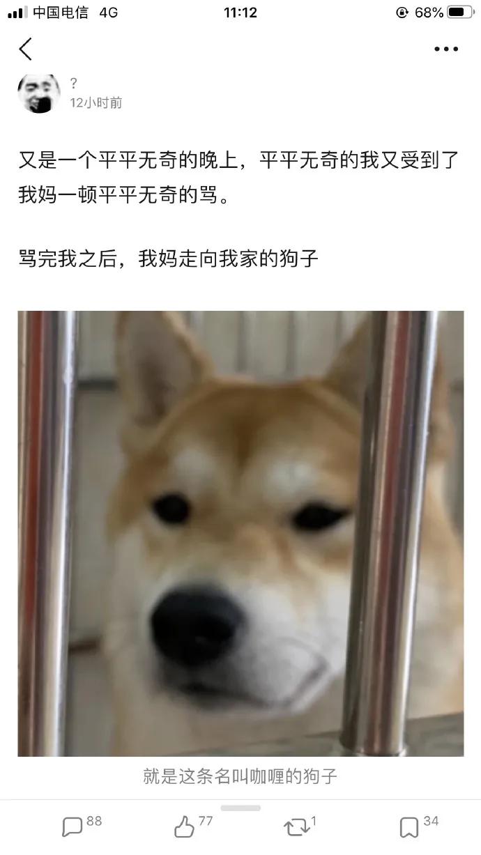 日本女演员中枪倒地表现,女演员表演中弹