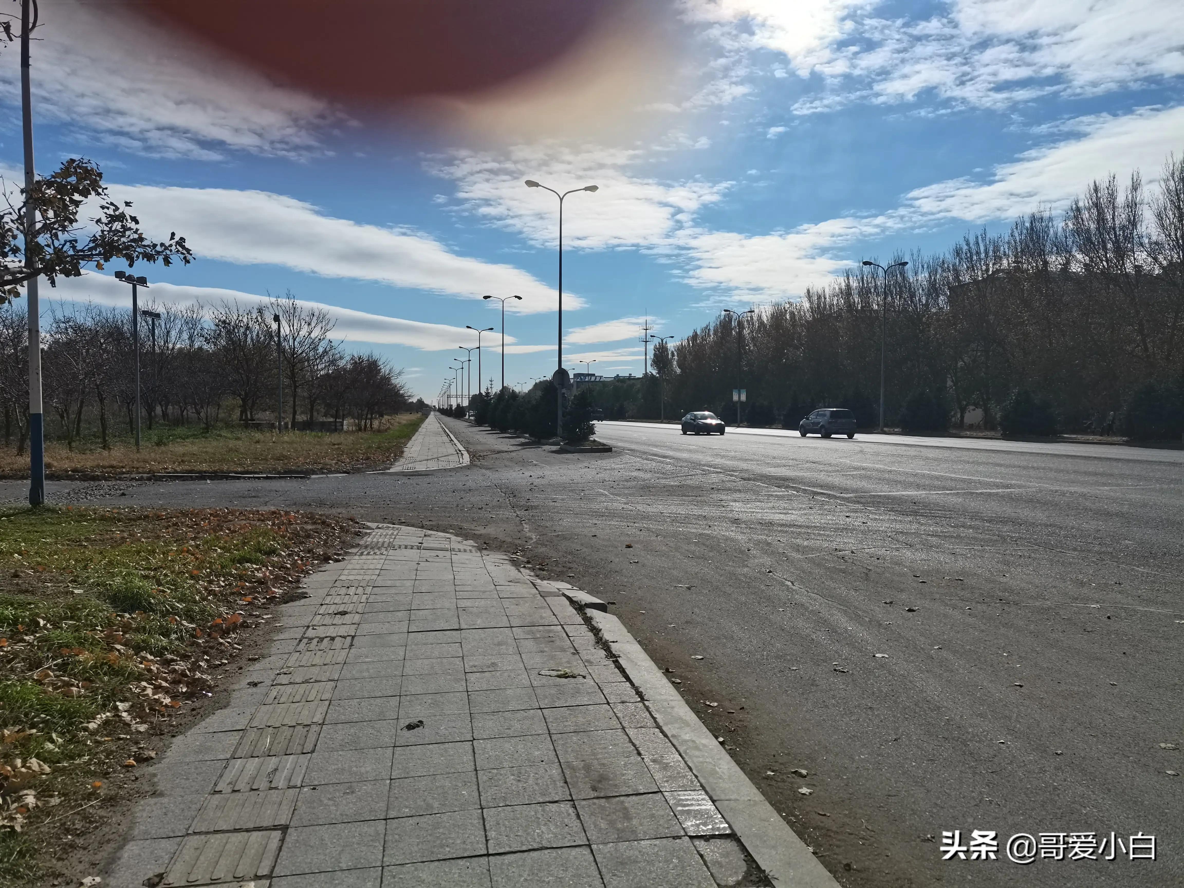 我的奇葩邻居系列20,我的奇葩邻居二十四