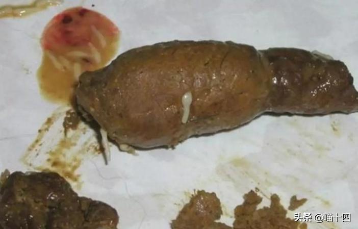 39天小猫软便,老是软便