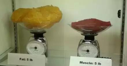 15张图看出十张算你厉害,15斤肉直观图