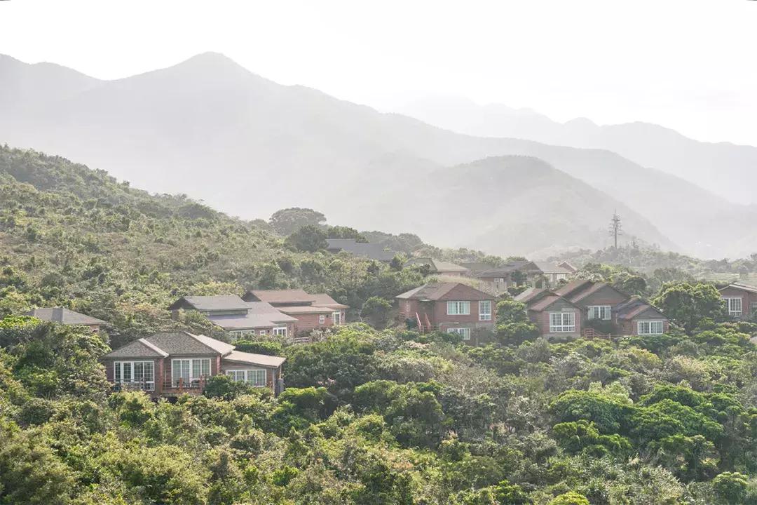 大鹏杨梅坑景区,杨梅坑旅游景点