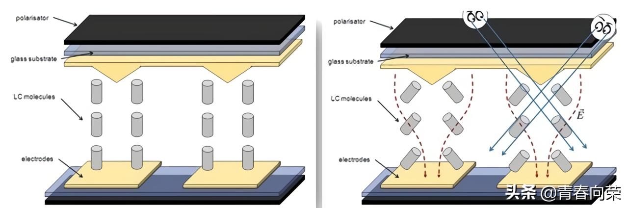 买电脑显示器应该关注些什么,新手电脑显示器如何选购