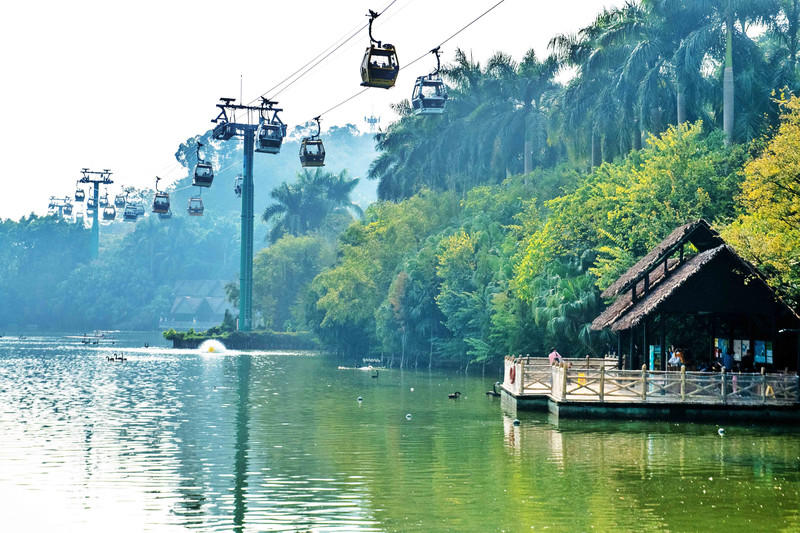 玩转广州长隆野生动物世界之行,广州长隆动物世界游玩攻略图