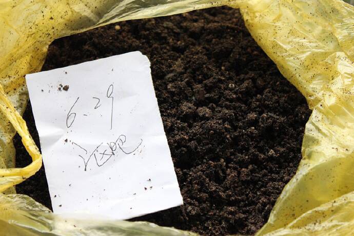 自制万能花肥最简单的方法,怎么样自制花肥方法大全