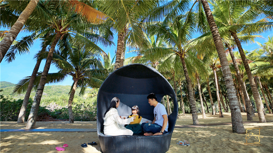 海南猴岛旅游自由行攻略,海南猴岛和呆呆岛攻略