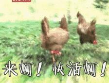 李雪琴最新cp,李雪琴最近的cp