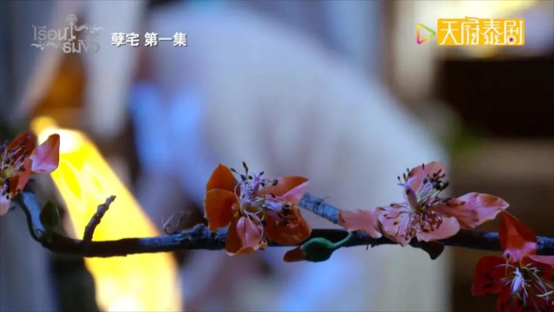 一口气看完12集泰剧,一口气看完系列高分泰剧