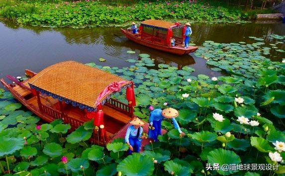 美丽乡村的盈利项目,美丽乡村项目的成功案例