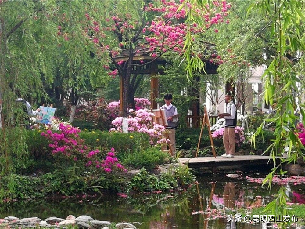 昆一中西山学校初中排名,扬帆起航昆一中西山学校