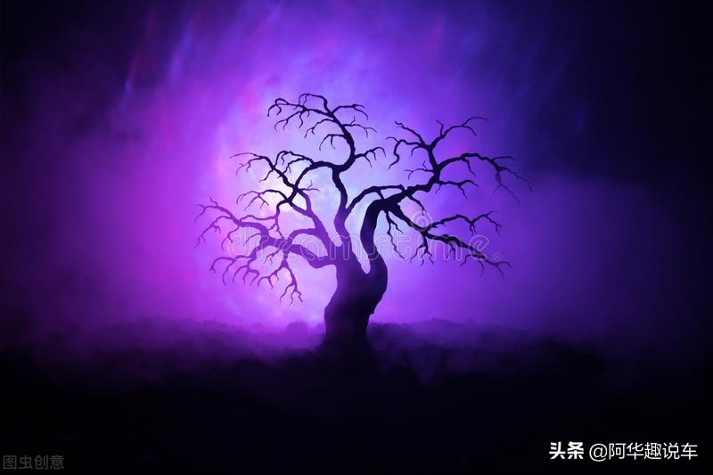 车的颜色哪个最安全,车的颜色哪一个比较保值